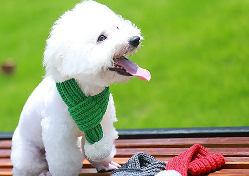 Christmas Knit Scarf for French Bulldog