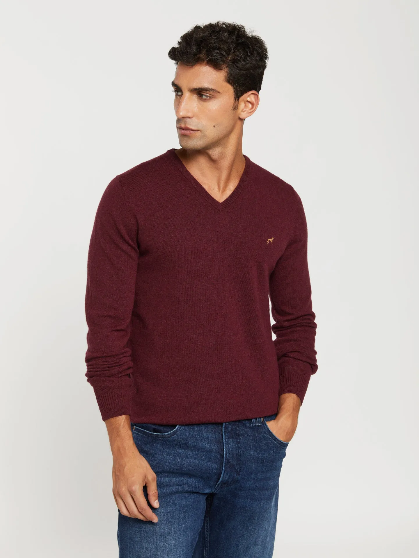 V-neck sweater