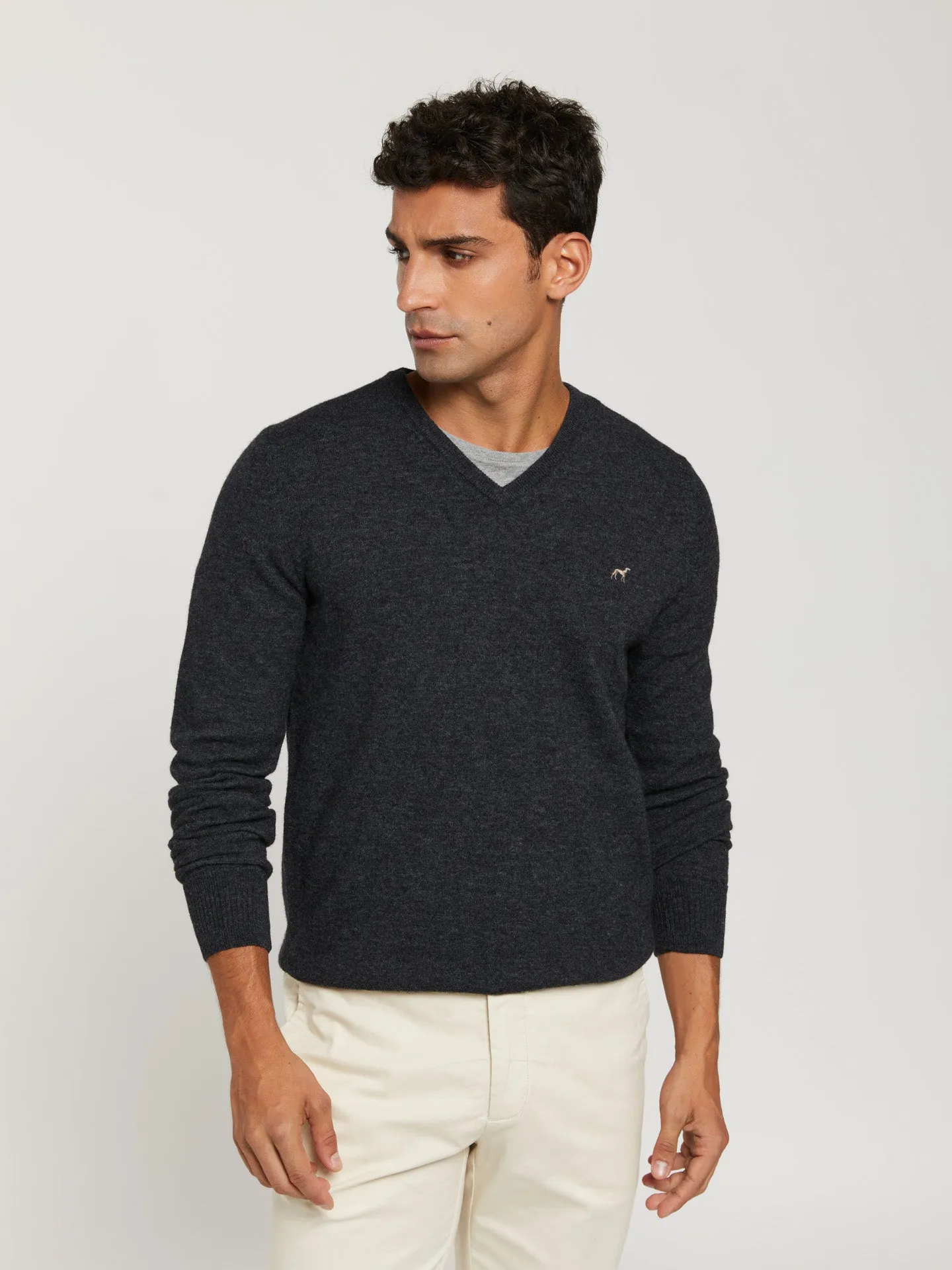 V-neck sweater